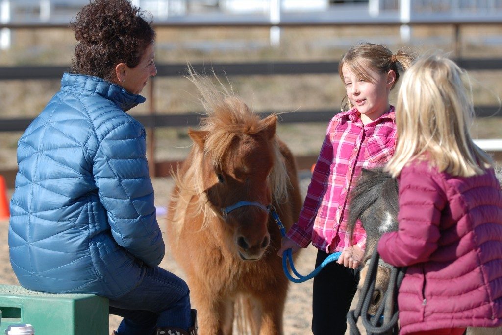 equine therapy, fort collins, colorado