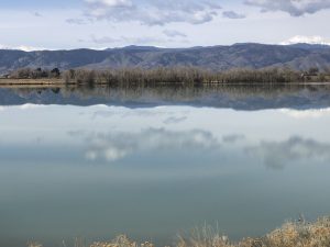 anxiety counseling in Fort Collins