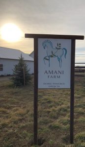 Amani Farm