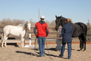 team building, fort collins,  colorado