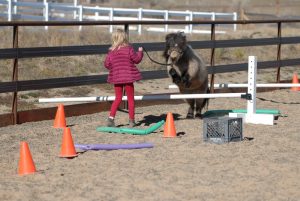 Divorce Resiliency Retreat for Children