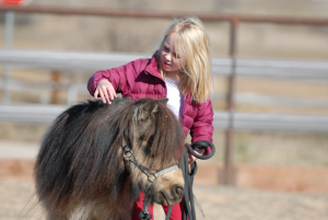 Equine Assisted School Programs